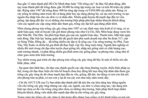 Chỉ thị 15/CT-UB  phát động trồng cây gây rừng phủ xanh đất hoang trống ở TP. Hồ Chí Minh