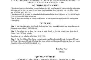 Quyết định  437-QĐ/KT  quy phạm kỹ thuật trồng rừng Dầu con rái (Dipterocarpus Alatus) (QPN 11-88)