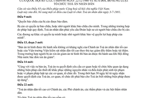 Luật Tổ chức Toà án nhân dân 1988 sửa đổi 12-LCT/HĐNN8