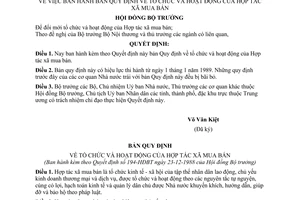 Quyết định  194-HĐBT  bản Quy định về tổ chức và hoạt động của hợp tác xã mua bán
