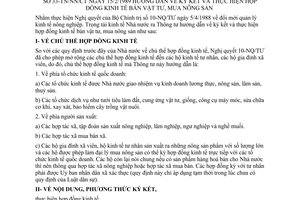 Thông tư 33-TT/NN/CT hướng dẫn ký kết thực hiện hợp đồng kinh tế bán vật tư, mua nông sản