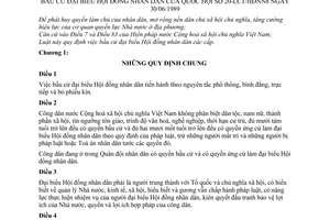 Luật Bầu cử đại biểu Hội đồng nhân dân 1989 20-LCT/HĐNN8