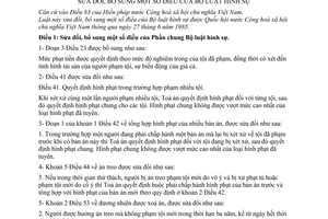 Bộ luật Hình sự 1989 sửa đổi 30-LCT/HĐNN8