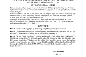 Quyết định 112-LS/CNR  quy phạm kỹ thuật trồng rừng thông Caribee (Pinus Caribaea) (QPN 13 -90)