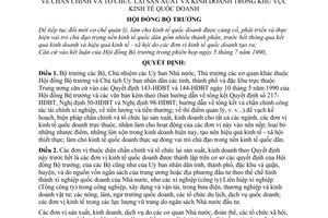 Quyết định  315-HĐBT  chấn chỉnh và tổ chức lại sản xuất  kinh doanh trong khu vực kinh tế quốc doanh