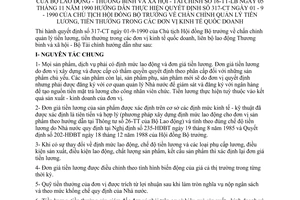 Thông tư liên tịch 16-TT-LB chấn chỉnh quản lý tiền lương thưởng đơn vị kinh tế quốc doanh hướng dẫn Quyết định 317-CT