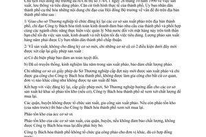 Chỉ thị 48/CT-UB sản xuất, lưu thông, tiêu dùng pháo thành phố Hồ Chí Minh