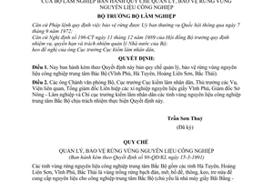 Quyết định  98-QĐ/KL Quy chế quản lý, bảo vệ rừng vùng nguyên liệu công nghiệp