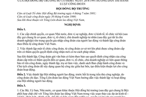 Nghị định 133-HĐBT hướng dẫn thi hành Luật công đoàn