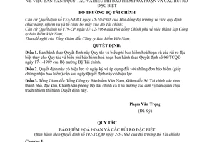 Quyết định  142-TCQĐ  Quy tắc và biểu phí bảo hiểm hoả hoạn  các rủi ro đặc biệt