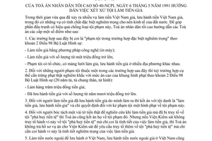 Công văn 40-NCPL hướng dẫn xét xử tội làm tiền giả