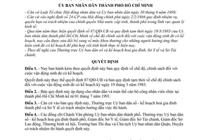 Quyết định  196/QĐ-UB  sửa đổi và ban hành bản quy định về chế độ chính sách đối với cuộc vận động sinh đẻ có kế hoạch