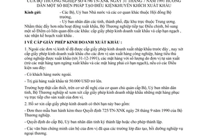 Công văn 4796/TN-XNK hướng dẫn biện pháp tạo điều kiện khuyến khích xuất khẩu