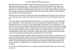 Chỉ thị 245-CT trồng rừng bạch đàn