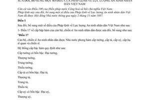 Pháp lệnh lực lượng an ninh nhân dân Việt Nam 1991 sửa đổi 60-LCT/HĐNN8