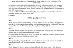 Pháp lệnh Bảo hộ lao động 1991 61-LCT/HĐNN8