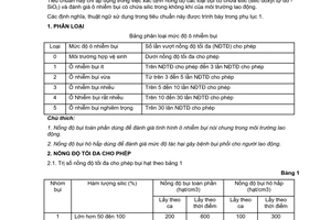 Tiêu chuẩn Việt Nam TCVN 5509:1991 về không khí vùng làm việc - bụi chứa silic - nồng độ tối đa cho phép và đánh giá ô nhiễm bụi do Ủy ban Khoa học Nhà nước ban hành