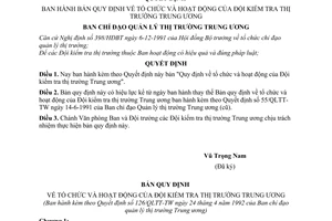 Quyết định  126/QLTT-TW  bản quy định về tổ chức và hoạt động của Đội kiểm tra thị trường Trung ương