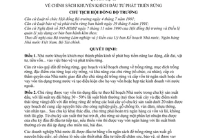 Quyết định  264-CT chính sách khuyến khích đầu tư phát triển rừng