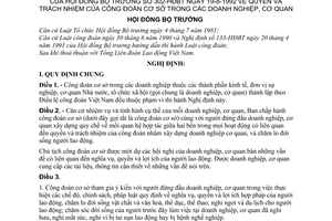 Nghị định 302-HĐBT quyền và trách nhiệm của công đoàn cơ sở trong các doanh nghiệp, cơ quan