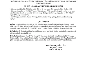 Quyết định 2391/QĐ-UB thi hành Nghị định 66/HĐBT cá nhân nhóm kinh doanh có vốn thấp hơn nhóm pháp định
