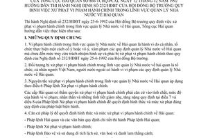Thông tư 866/TCHQ-PCXL xử phạt vi phạm hành chính lĩnh vực quản lý Nhà nước Hải quan hướng dẫn Nghị định 232-HĐBT