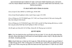 Quyết định 88/QĐ.UB 1994 cấp giấy phép thành lập đăng ký kinh doanh doanh nghiệp tư nhân công ty An Giang
