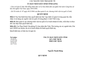 Quyết định 136/QĐ-UBT năm 1994 tiếp nhận và sử dụng nguồn viện trợ quốc tế