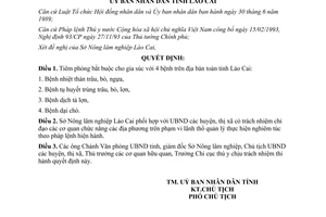 Quyết định 55/QĐ.UB năm 1994 tiêm phòng bắt buộc cho gia súc Lào Cai