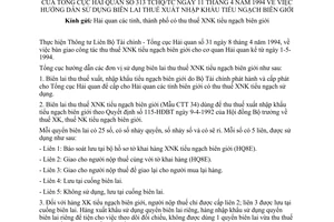 Công văn 313-TCHQ/TC hướng dẫn sử dụng biên lai thuế XNK tiểu ngạch biên giới