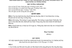 Quyết định 202-TTg bản Quy định về việc khoán bảo vệ rừng, khoanh nuôi tái sinh rừng và trồng rừng