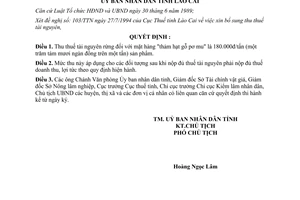 Quyết định 240/QĐ.UB năm 1994 thuế tài nguyên đối với thảm hạt gỗ pơ mu Lào Cai