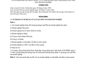 Nghị định 189-CP hướng dẫn thi hành luật phá sản doanh nghiệp