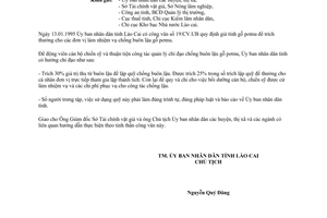 Công văn 58/CV.UB năm 1995 bồi dưỡng cán bộ chiến sỹ tham gia chống buôn lậu Lào Cai