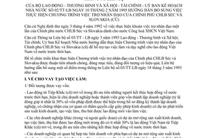 Thông tư liên bộ 02/TT-LB bổ sung chương trình viện trợ nhân đạo Chính phủ Cộng hoà liên bang Séc và Slô-va-kia (cũ)
