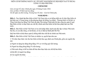 Nghị định 19-CP thành lập Bảo hiểm xã hội Việt Nam trên cơ sở thống nhất các tổ chức Bảo hiểm xã hội hiện nay ở Trung ương và địa phương