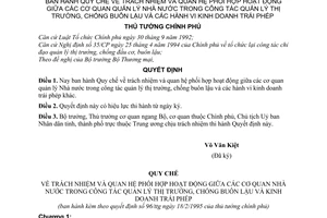 Quyết định 96-TTg quy chế về trách nhiệm phối hợp cơ quan quản lý nhà nước công tác quản lý thị trường, chống buôn lậu hành vi kinh doanh trái phép