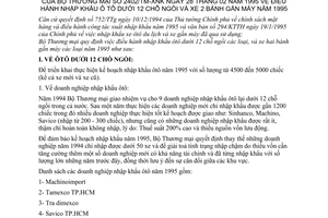 Quy định 2402/TM-XNK điều hành nhập khẩu ô tô dưới 12 chỗ ngồi và xe 2 bánh gắn máy năm 1995