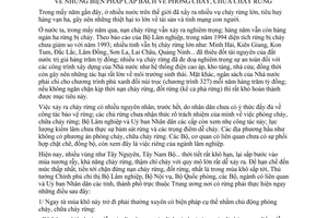 Chỉ thị 177-TTg biện pháp cấp bách phòng cháy, chữa cháy rừng