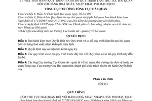 Quyết định 127/TCHQ-GSQL Quy trình và sơ đồ làm thủ tục hải quan hàng hóa xuất, nhập khẩu phi mậu dịch