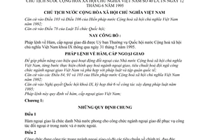 Pháp lệnh hàm, cấp ngoại giao 1995 40-L/CTN