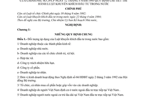 Nghị định 29/CP khuyến khích đầu tư trong nước để hướng dẫn thi hành Luật