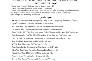 Quyết định 349-TTg thành lập ban chỉ đạo phòng, chống lụt, bão trung ương