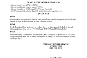 Quyết định 1615 QĐ/UB  giao đất nông nghiệp