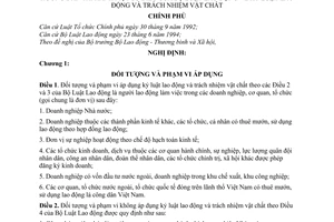 Nghị định 41-CP hướng dẫn thi hành Bộ luật Lao động về kỷ luật lao động và trách nhiệm vật chất