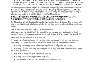 Thông tư 23/LĐTBXH-TT công tác huấn luyện an toàn vệ sinh lao động bổ sung Thông tư 08/LĐTBXH-TT