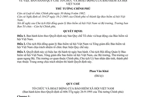 Quyết định 606-TTg quy chế tổ chức hoạt động bảo hiểm xã hội Việt Nam