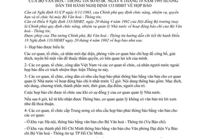 Thông tư 65/BC họp báo hướng dẫn thi hành Nghị định 133/HĐBT