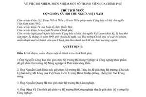 Quyết định 494-QĐ/CTN bổ nhiệm, miễn nhiệm thành viên Chính phủ