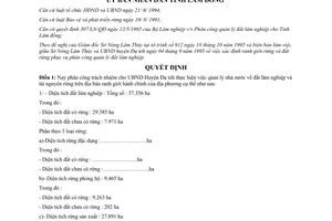 Quyết định 1199/QĐ-UB 1995 phân công quản lý đất lâm nghiệp Đạ Tẻh Lâm Đồng